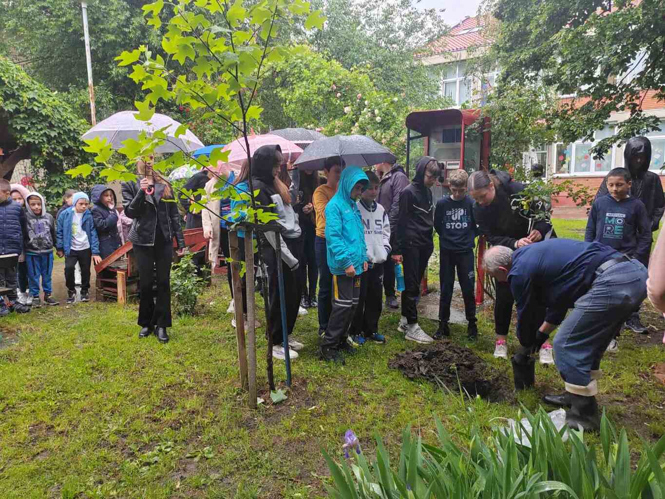 viber image 2025 05 08 12 36 08 185